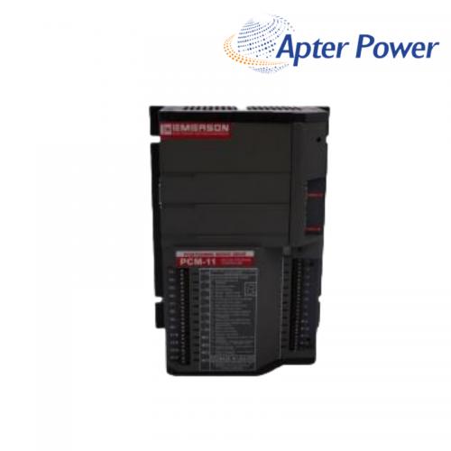 BM11M1 Digital Module