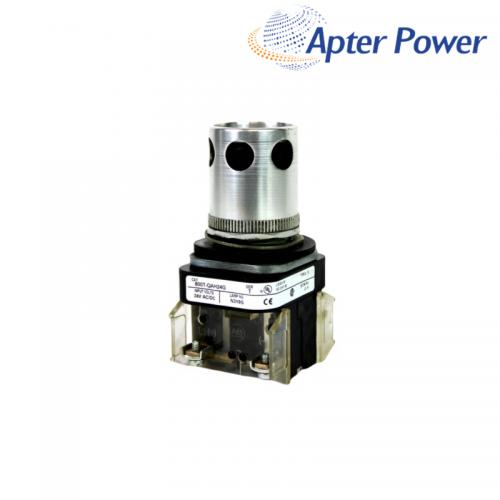 8WT-QAL24G  Push Button Switch