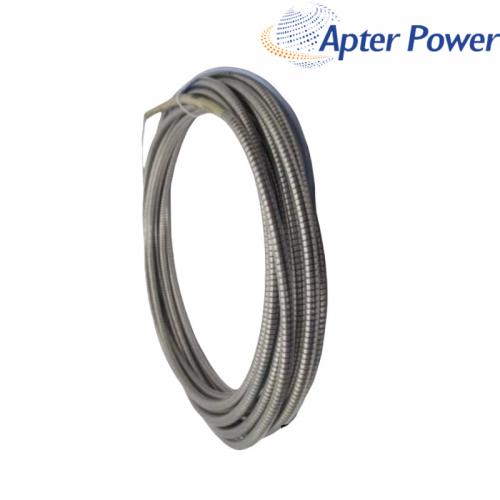 330930-060-01-00 Standard extension cable